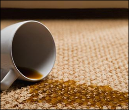 Carpet Cleaning